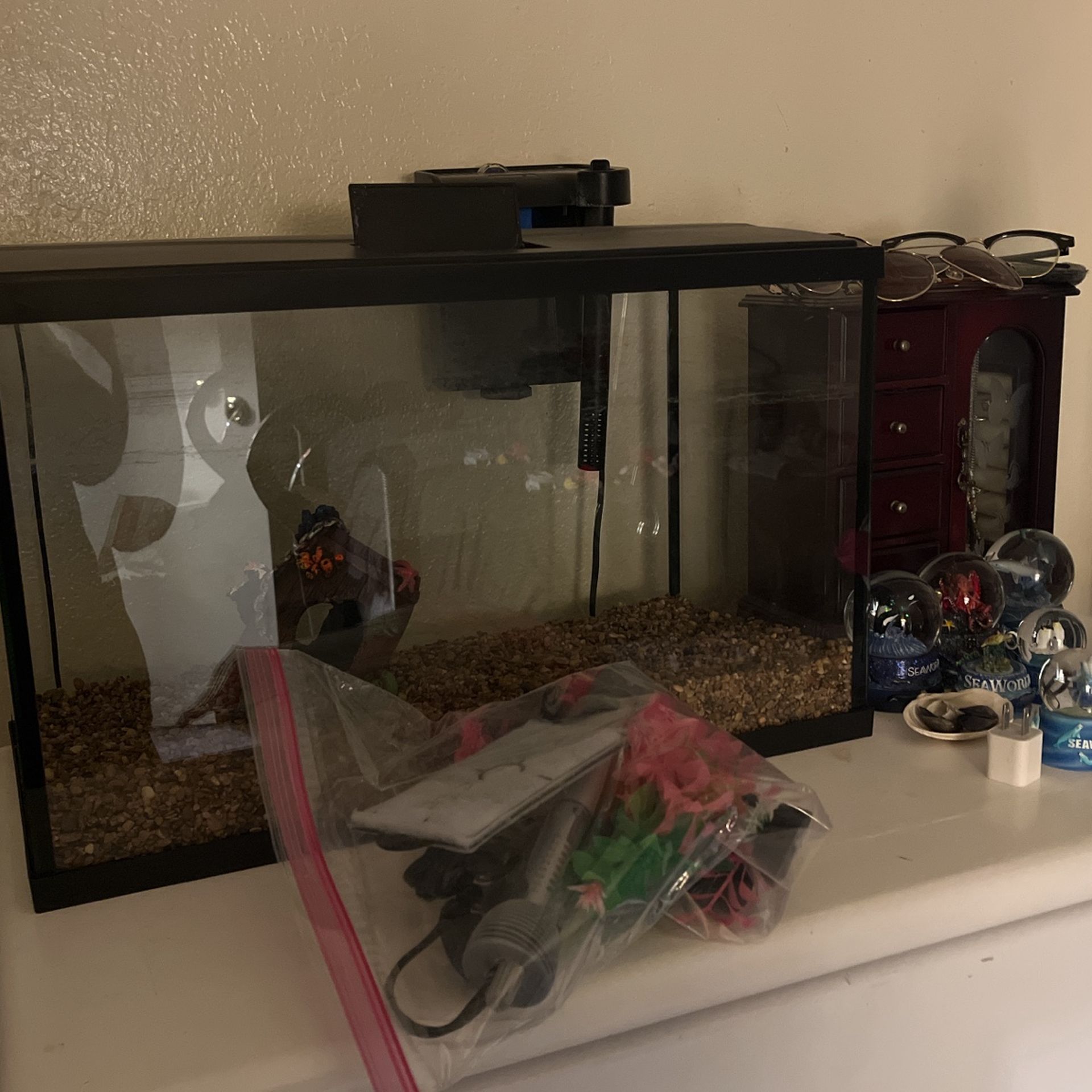 Ten Gallon Fish Tank (used)