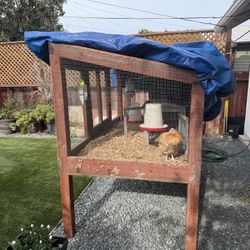 Hen with Custom Made Coop