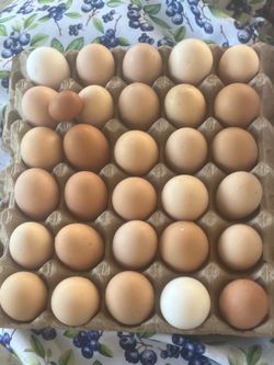 Fresh eggs and chicks