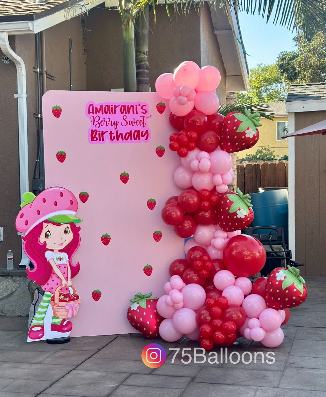 Balloon Garland