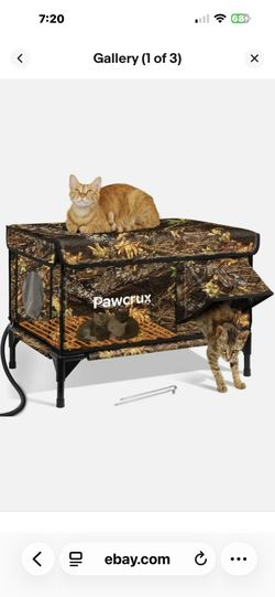 Weather Proof Cat House
