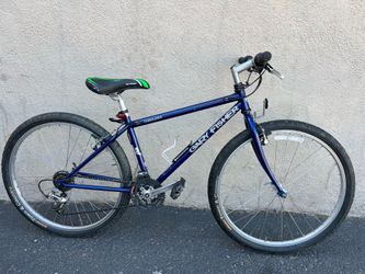 Gray Fisher Mountain Bike