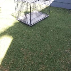 Dog Cage 