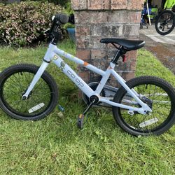 Child’s Bicycle REI Rev 16 $100.00 OBO