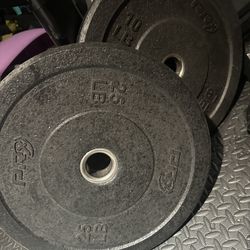 Weighted Plates- All Price Marked Or…