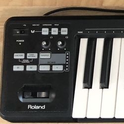 Roland A-49 MIDI Keyboard  $110