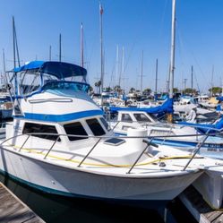 1983 Blackman 26’ Billfisher