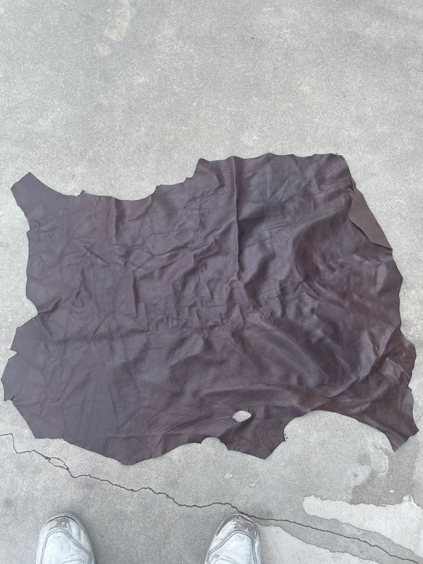 Piel
