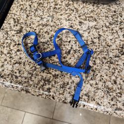 XS Dog Harness
