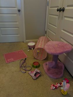 Cat beds toys litter box & food!