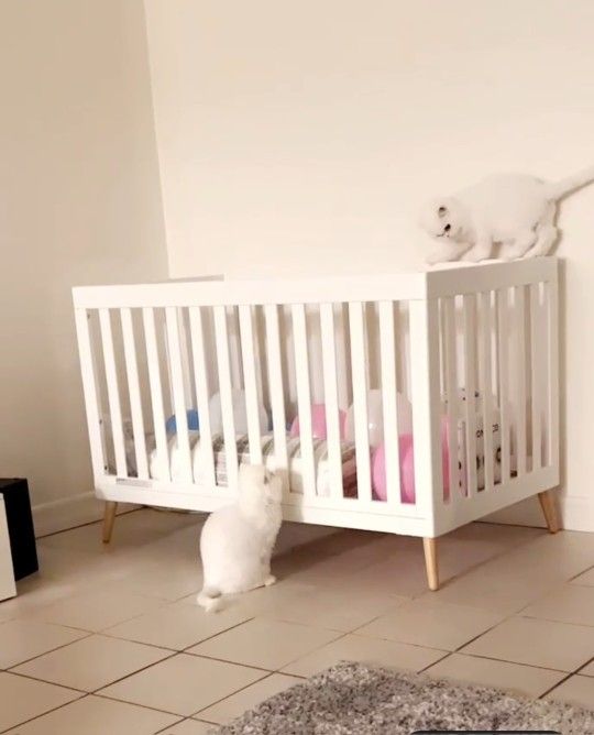 Baby white crib + mattress