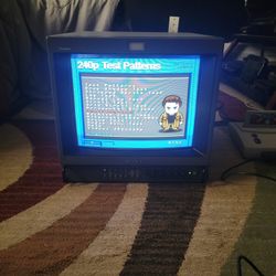 Sony pvm 1351Q