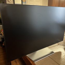 Dell Pro Monitor 100MHz 