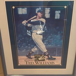 Ted Williams Picture Frame 