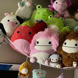 Squishmallows/ stuff animals and build a bears
