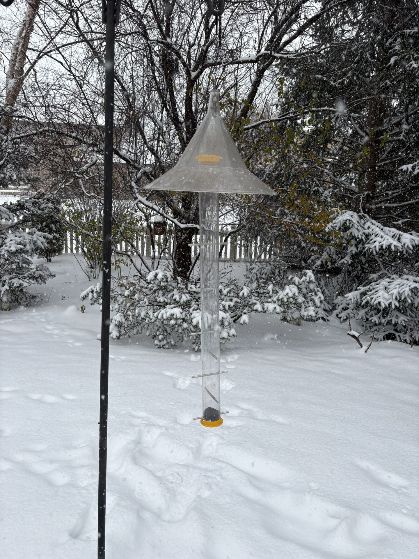 Bird Feeder -Thistle -With a Dome Cover