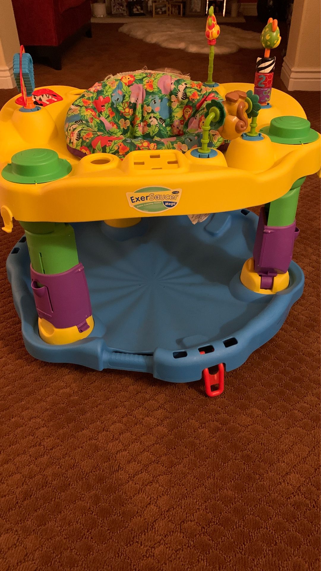 Exersaucer