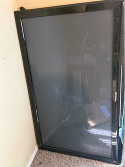 50” Panasonic flat screen (2010)