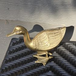 Brass Duck