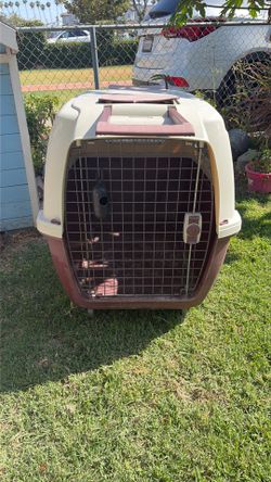 PET