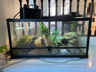 Terrarium 50 Gallon