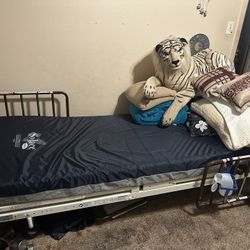 Electric  XL Twin Hospital Bed With Rails