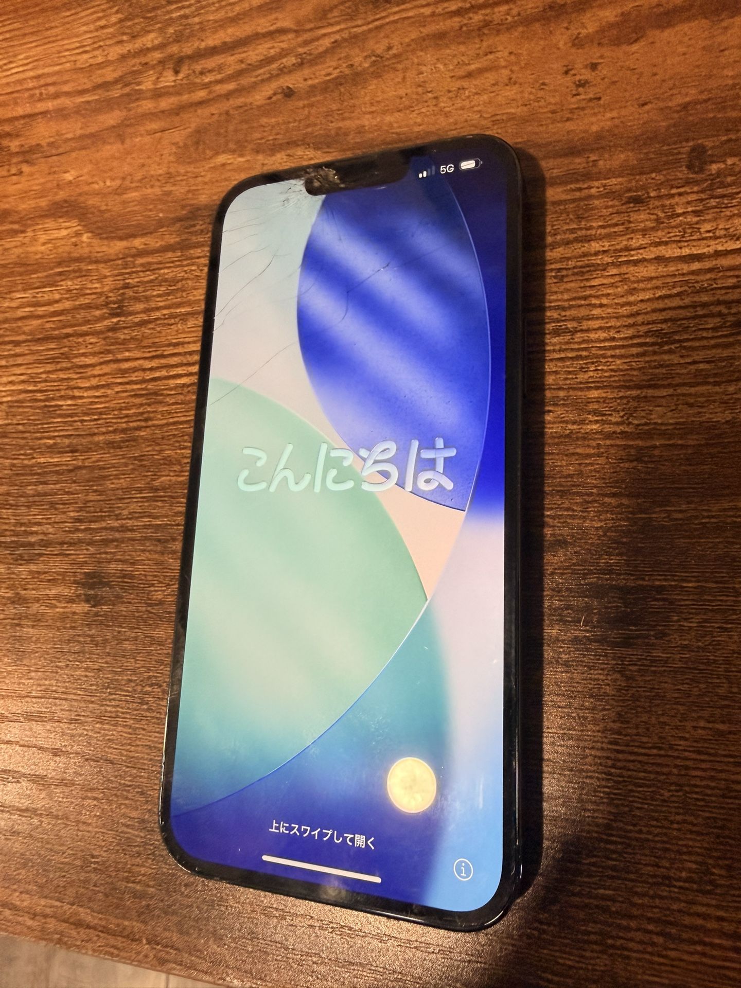 iPhone 13 Pro Max 