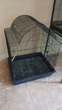 Bird Cage