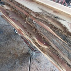 Wood CEDAR SLABS AND MORE 