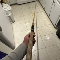 Fishing Rod