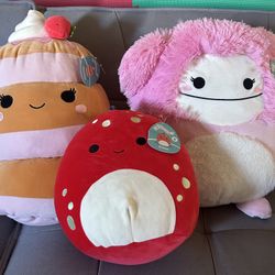 Squishmallow Lot Of 3 Sawtelle - Brina - Dolan New With Tags