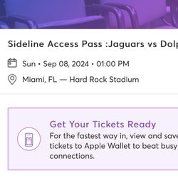 Miami Dolphins Sideline Access Passes Watch Entire Game From Field Level 