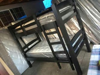 NEW BUNK BEDS