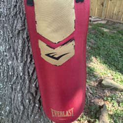 Everlast Heavy Bag 100lb