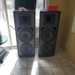 Subwoofer Speakers