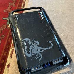 Bass Amp Performance Teknique