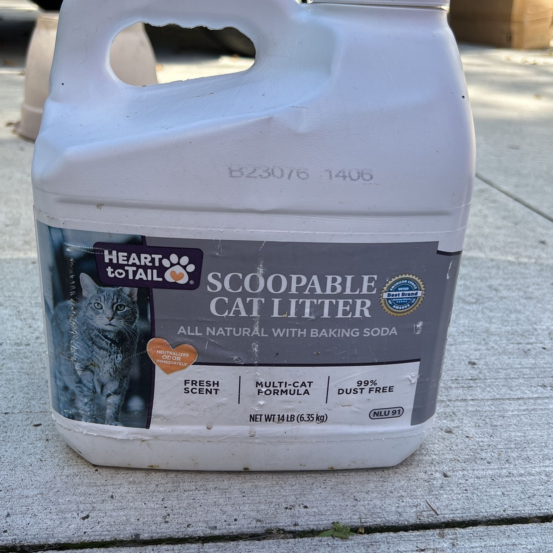 Cat Litter