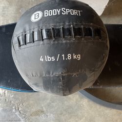 4 Pound Weighted Ball 
