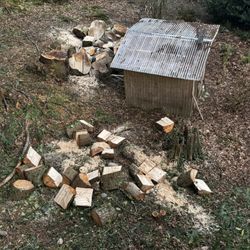 Free Firewood Fire Wood 