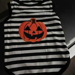 Doggie Shirt For Halloween 