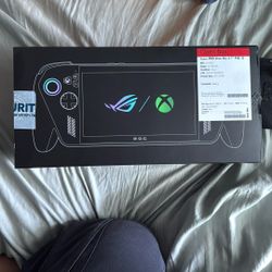 Xbox Ally X 