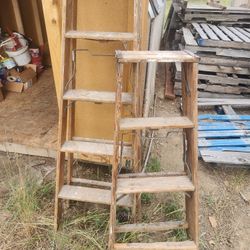 Wood Ladders