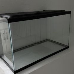 10 Gallon Aquarium Starter Kit