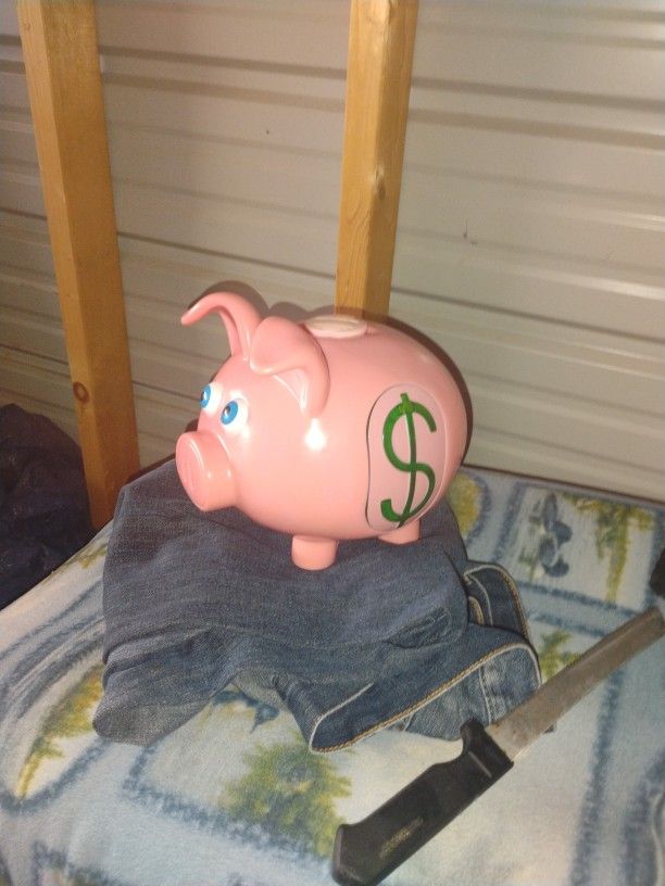 Light up And Pig Snorting Piggy Bank