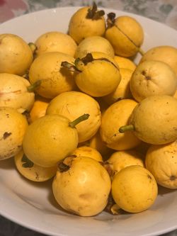 Guayabas Guavas