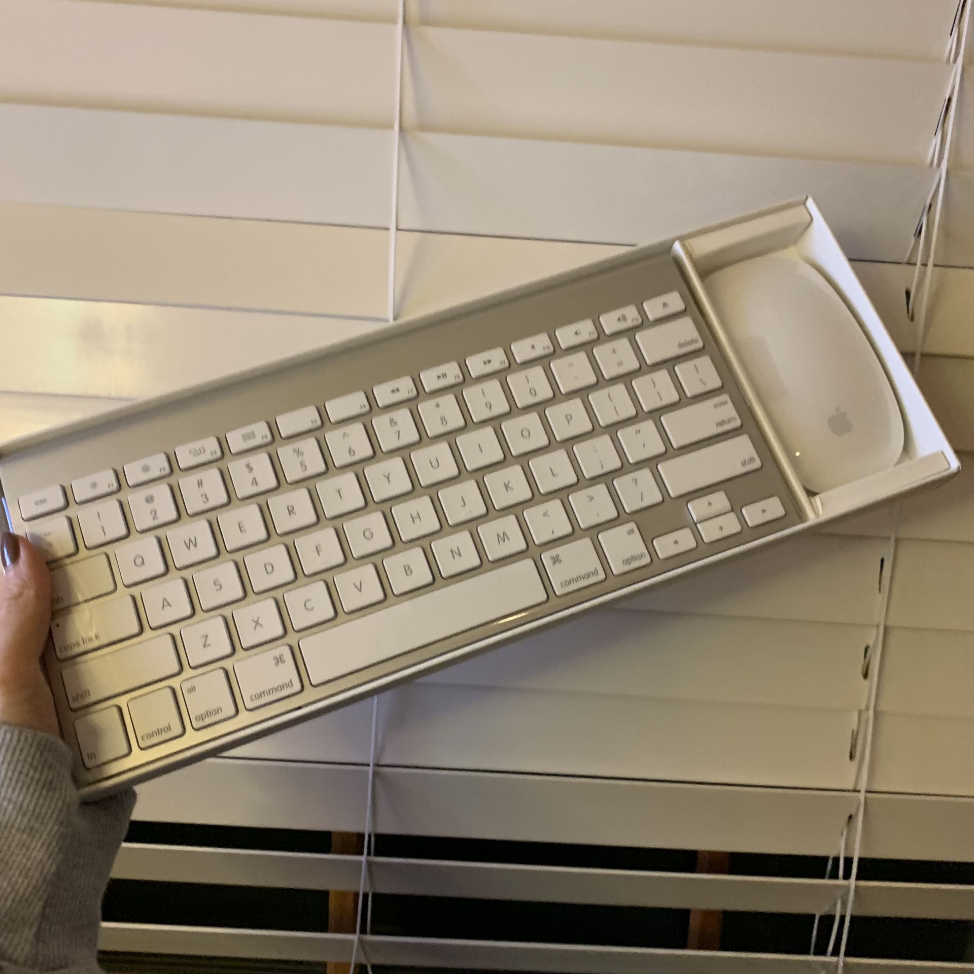 Magic keyboard mouse combo