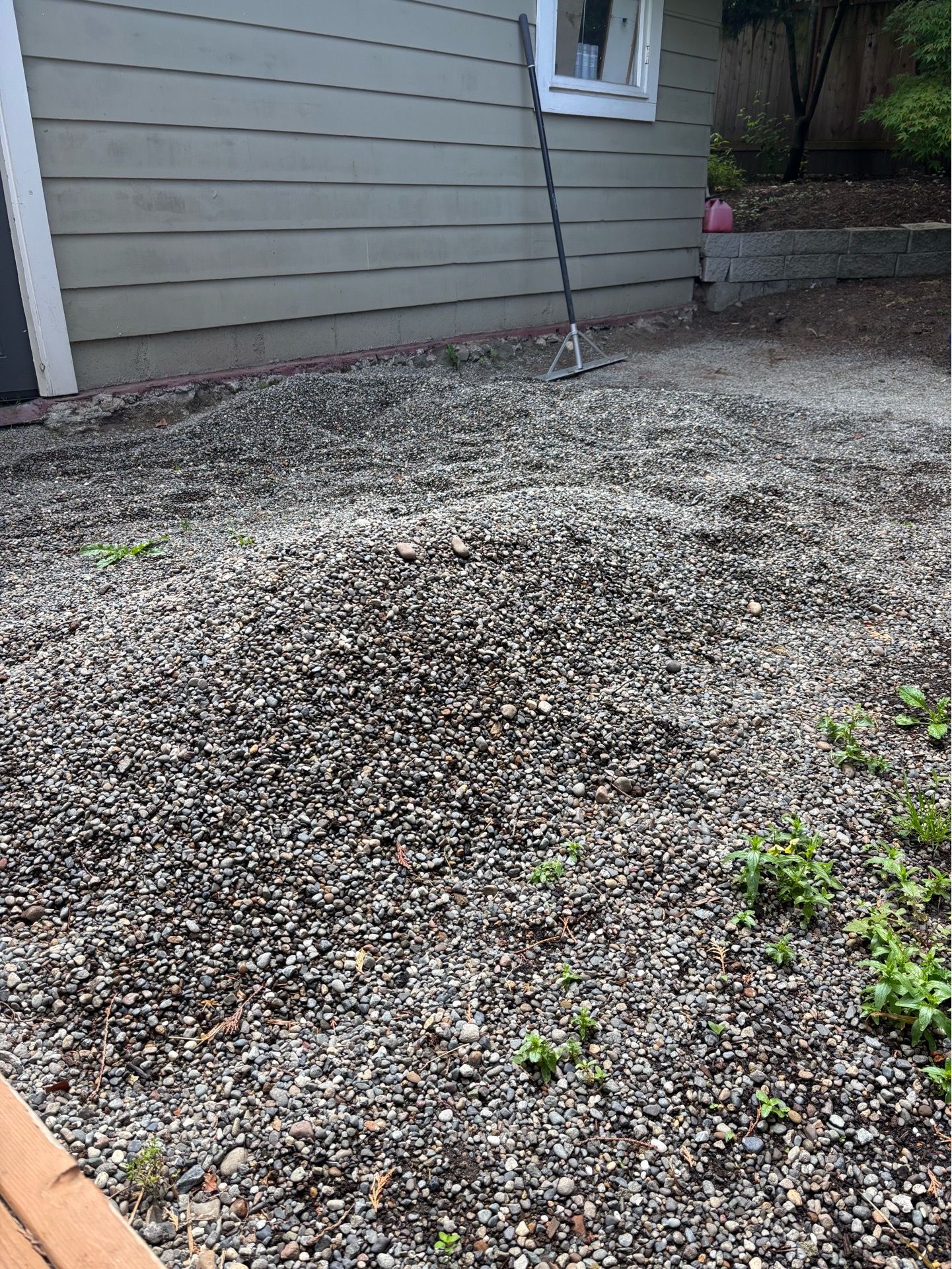 Free Pea gravel