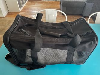 Pet carrier for cat or small dog