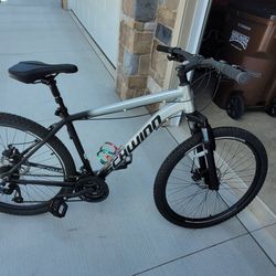 Schwinn Bike