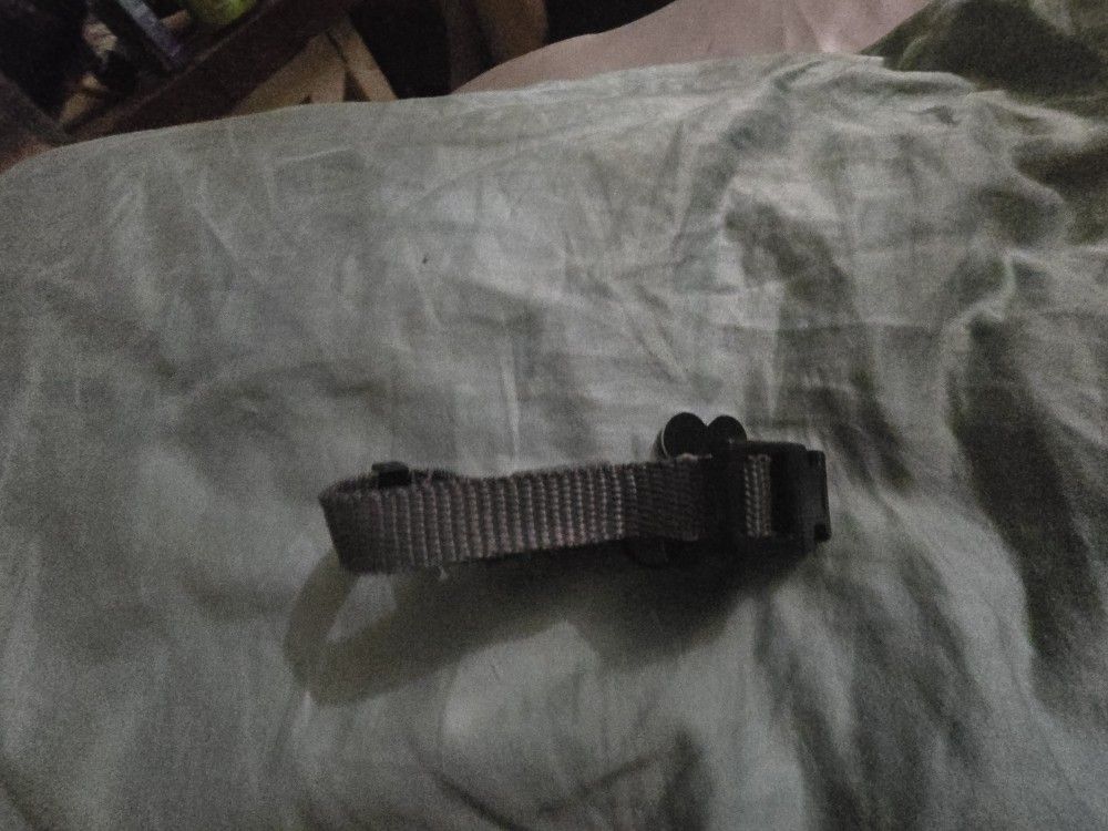 Dog Collar